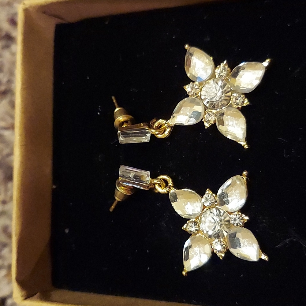 Hallmarks stainless steel crystal earrings